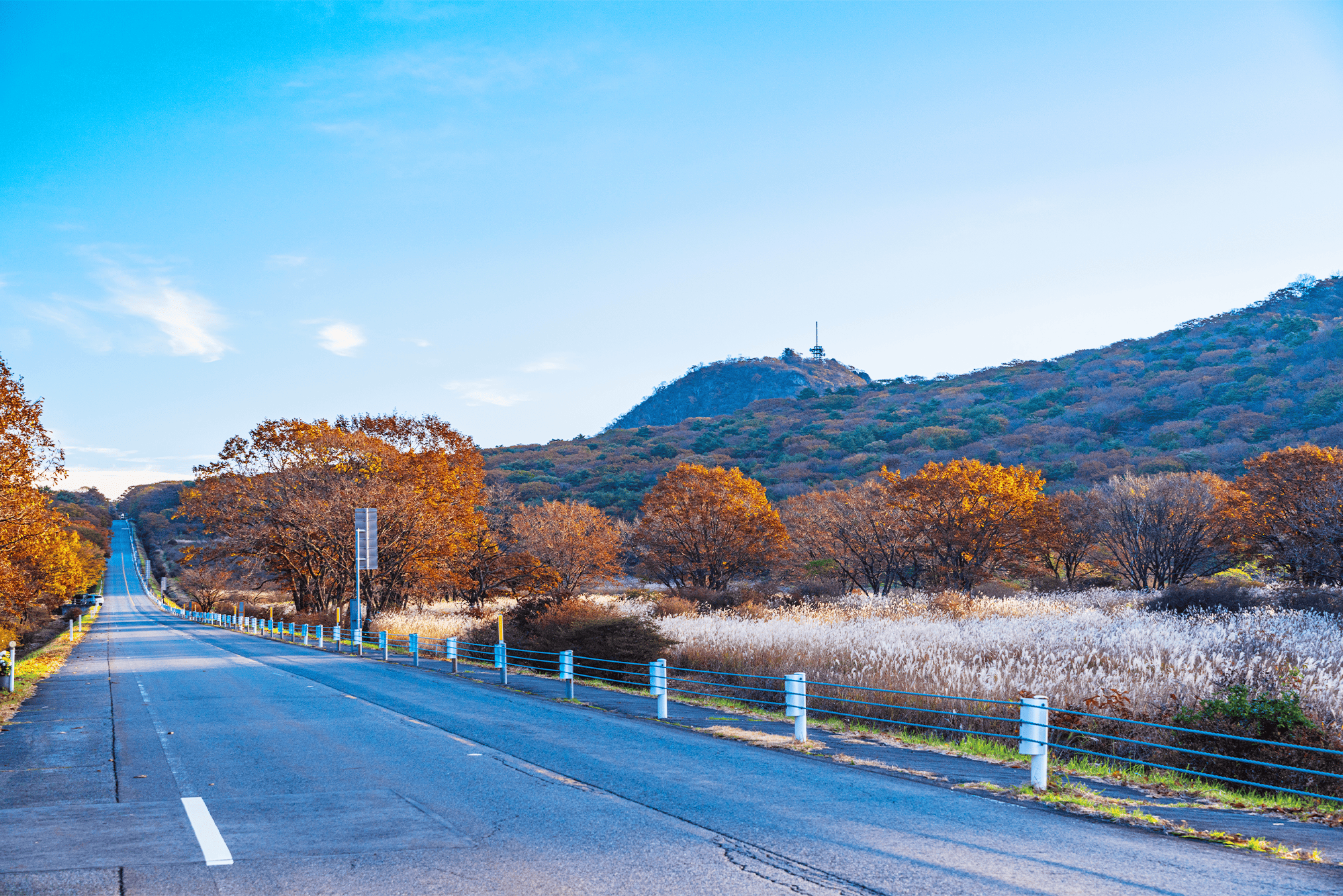 秋の榛名山・沼の原の情景の写真